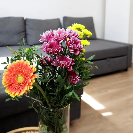 Apartment Diamond In Old Town With Free Parking *